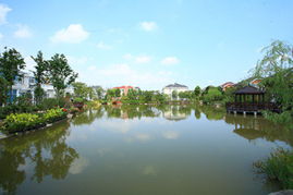 上海奉賢園林綠化工程 打造生態宜居的城市綠洲