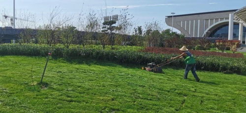 加強夏季園林管護，提升城市綠化品質