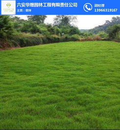 六安市華煜園林工程有限責任公司 專業園林綠化工程服務