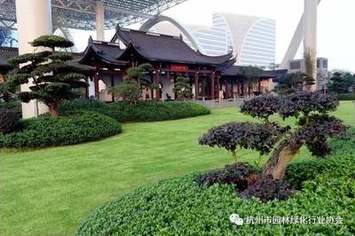 綠意云端，國博新境 杭州國際博覽中心屋面園林綠化工程榮膺金獎紀實