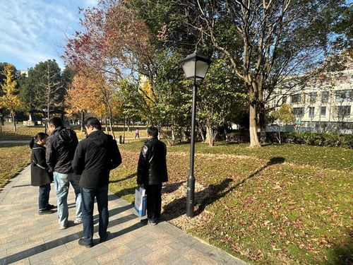 余姚市望湖公園綠化補植工程順利通過驗收，城市生態景觀再添新綠