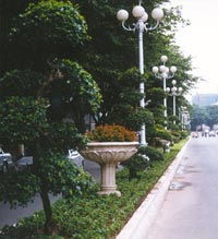 杜鵑映丹霞，韶關精繡園林綠化新畫卷